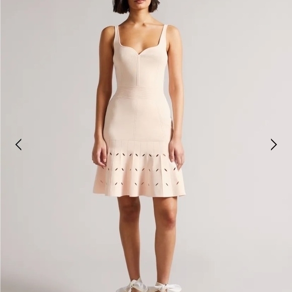 Ted Baker Women's Full Needle Stitch Detailed Hem Mini Dress in Pink, Ambyr-0230 - Picture 3 of 14